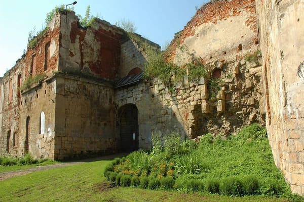 Замок Миколи Синявського в селі Рай.