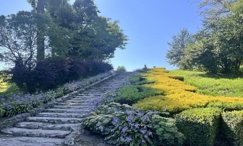 Кременецький ботанічний сад