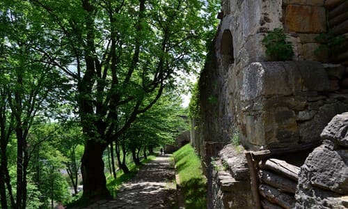 Цікаві факти про Теребовлянський замок